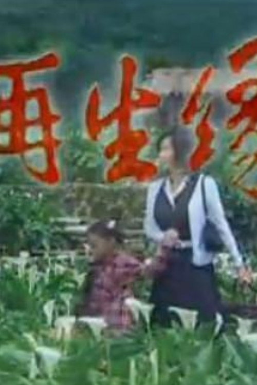 再生緣&lrm;电影海报