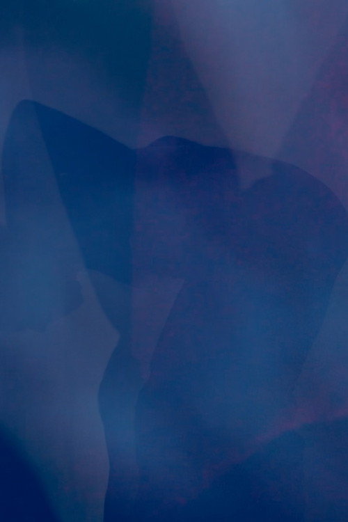 Self Portrait as a Shadow's poster