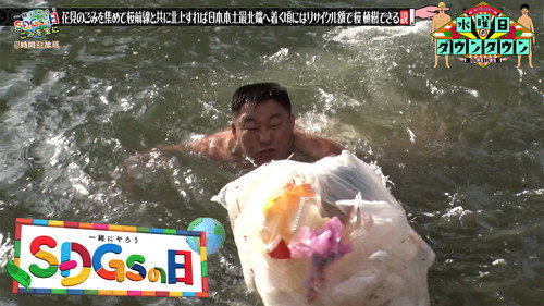 Can a cherry blossom season garbage cleanup fund new cherry trees across Japan?