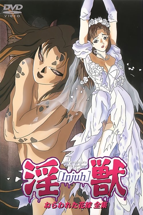 banner card