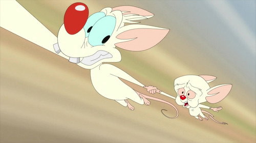 疯狂动画第2季第21集