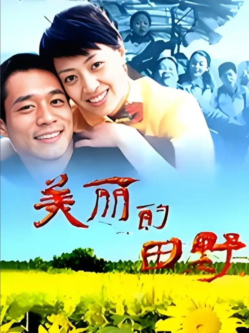 美丽的田野电影海报