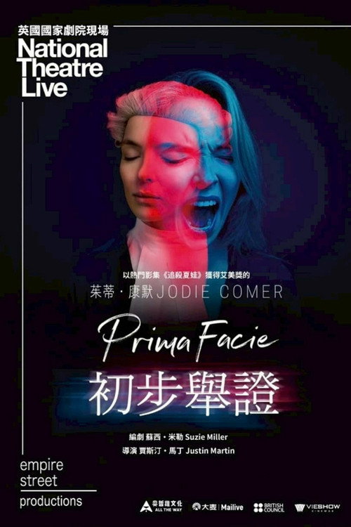 初步举证电影海报