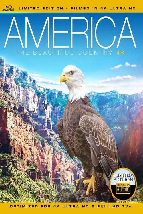 Watch America - The Beautiful Country (2013) Full Movie Online Free America - The Beautiful Country (2013) Watch Full Movie Streaming Online