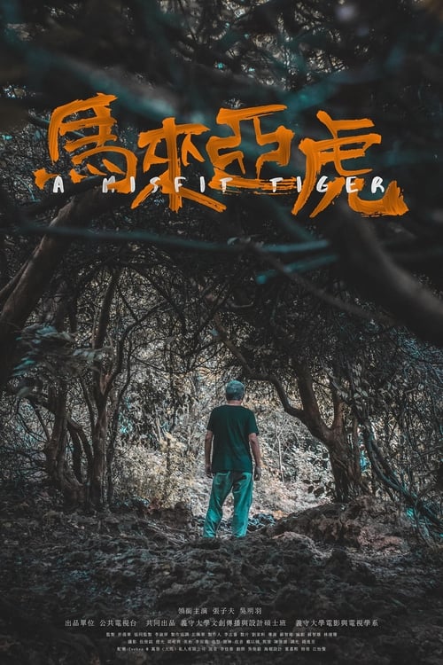 A Misfit Tiger Poster