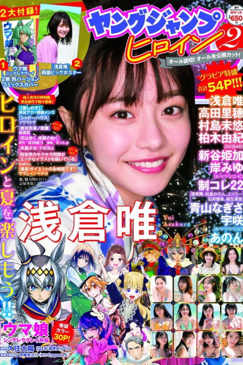 日本藏品奇谈电影海报