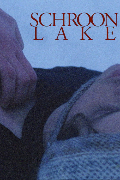 Schroon Lake电影海报