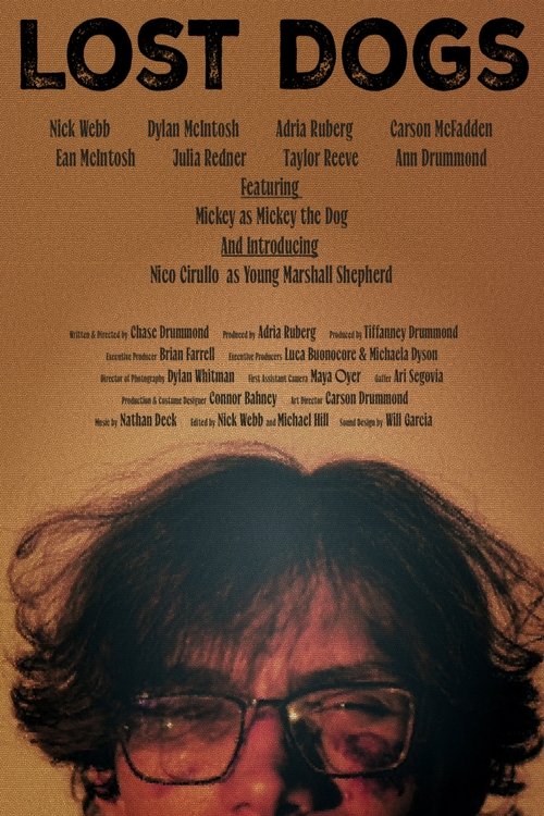 Lost Dogs Poster