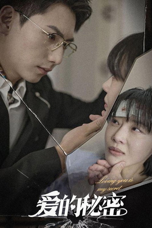 爱的秘密电影海报