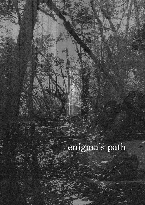 Enigma's Path