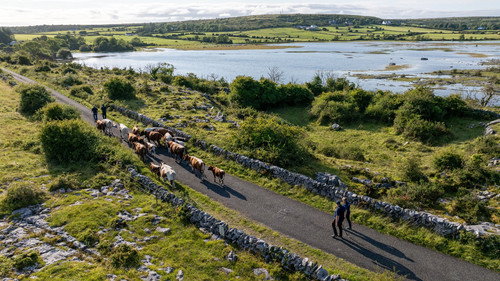Killarney & Burren