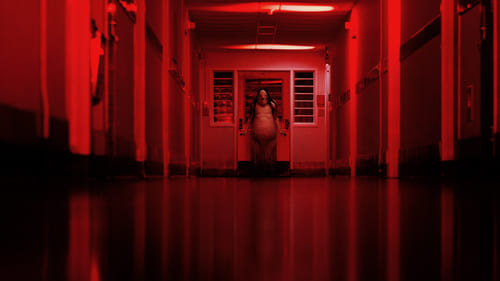 Historias de miedo para contar en la oscuridad (2019) Ver Pelicula Completa Streaming Online