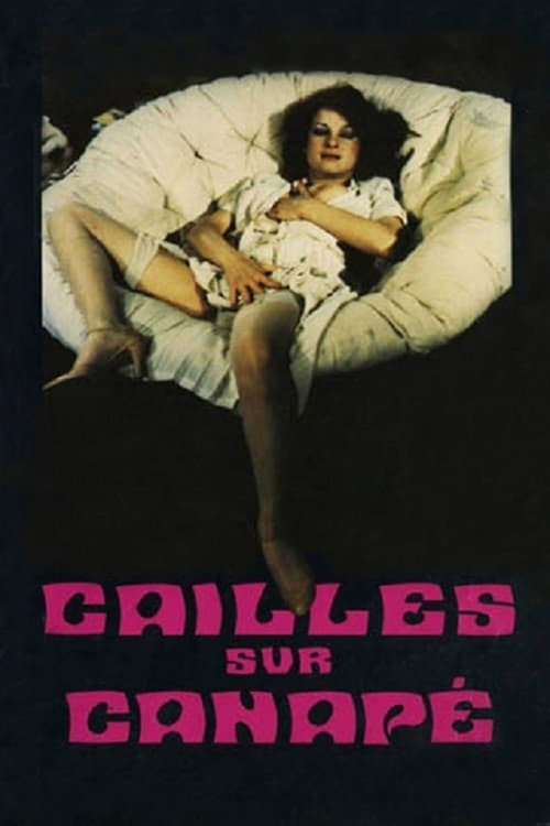 Cailles sur canapé poster 2