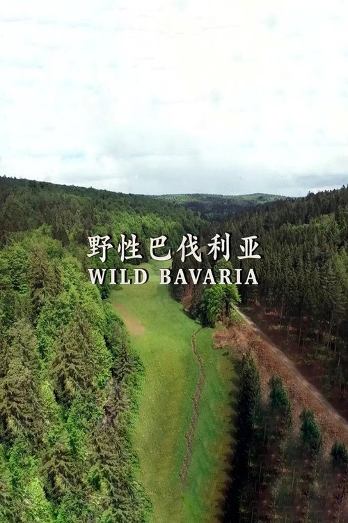 野性巴伐利亚电影海报