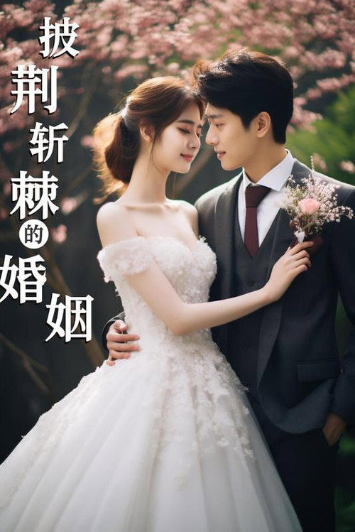 披荆斩棘的婚姻电影海报