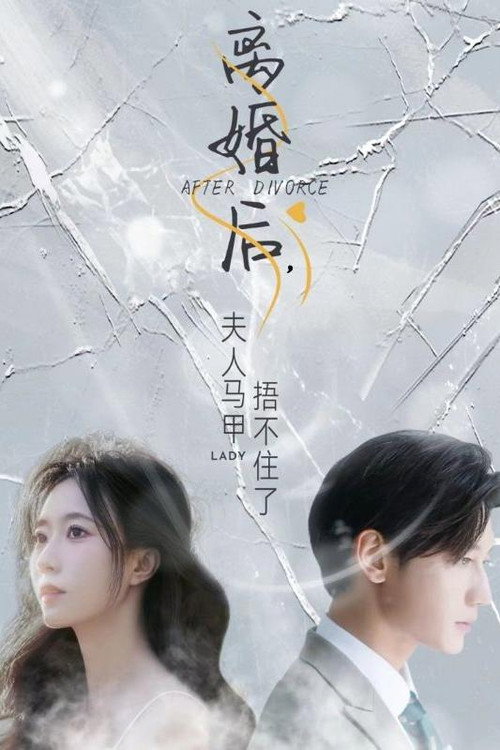 离婚后，夫人马甲捂不住了电影海报