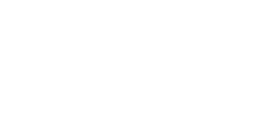 SAFE Logo