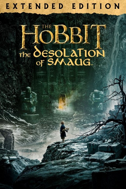 The Hobbit: The Desolation of Smaug - Extended Edition
