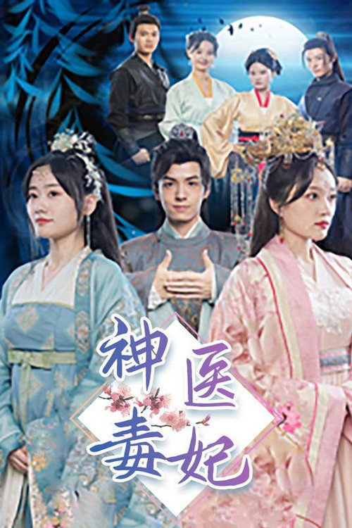 神医毒妃电影海报