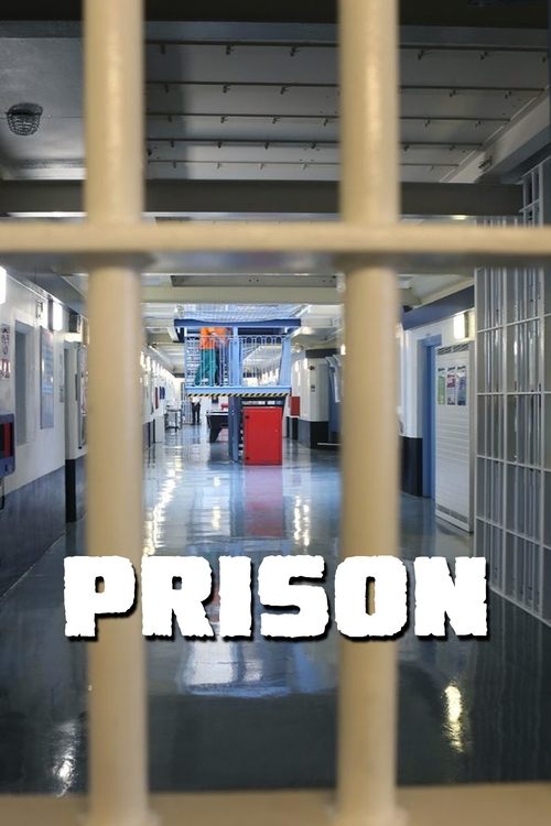 Poster of Prison