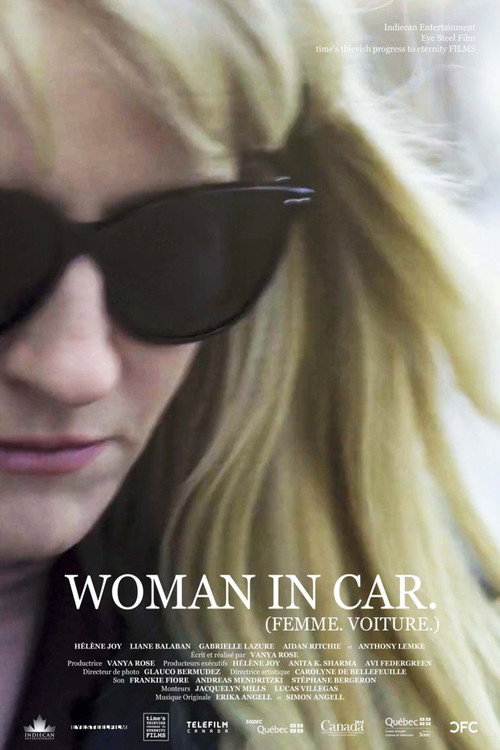Woman in Car poster 3