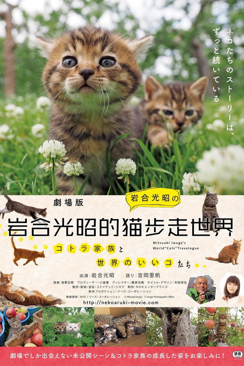 岩合光昭的猫步走世界电影海报