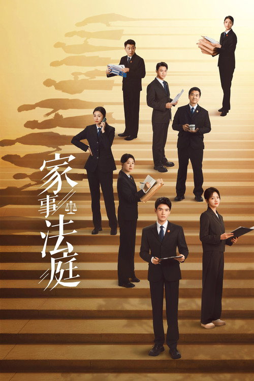 家事法庭电影海报