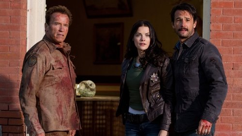 The Last Stand (2013)Bekijk volledige filmstreaming online