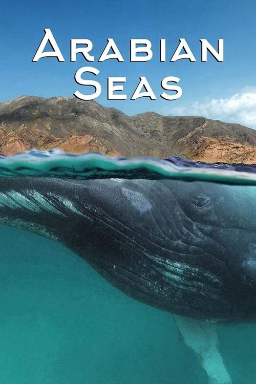 Poster of Arabian Seas