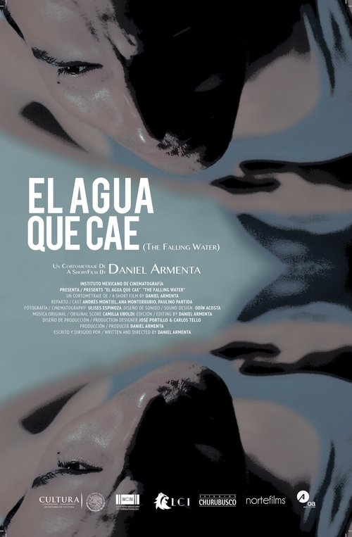 The Falling Water Poster