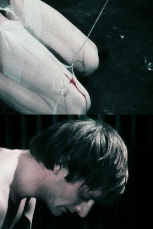 Psychodramulett poster 4