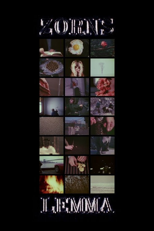 Zorns Lemma Poster