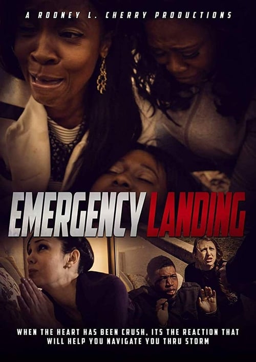 Regarder Emergency Landing (2019) le film en streaming complet en ligne