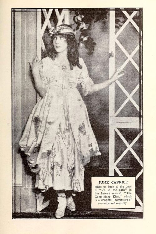 A Camouflage Kiss Poster