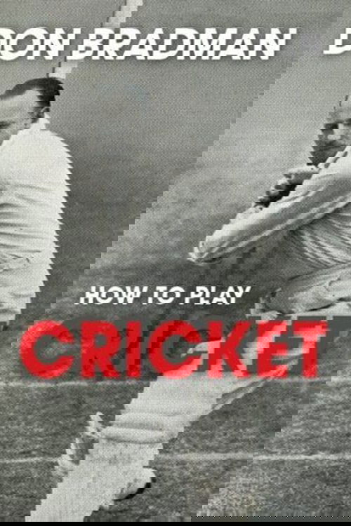 How to Play Cricket Poster
