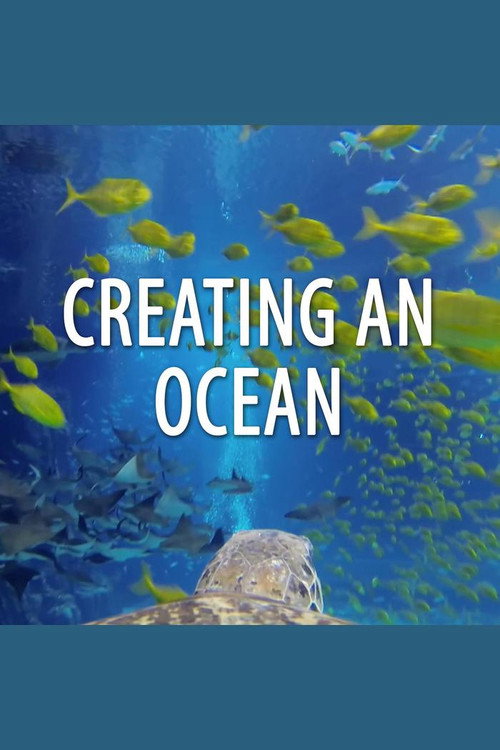 Creating An Ocean电影海报