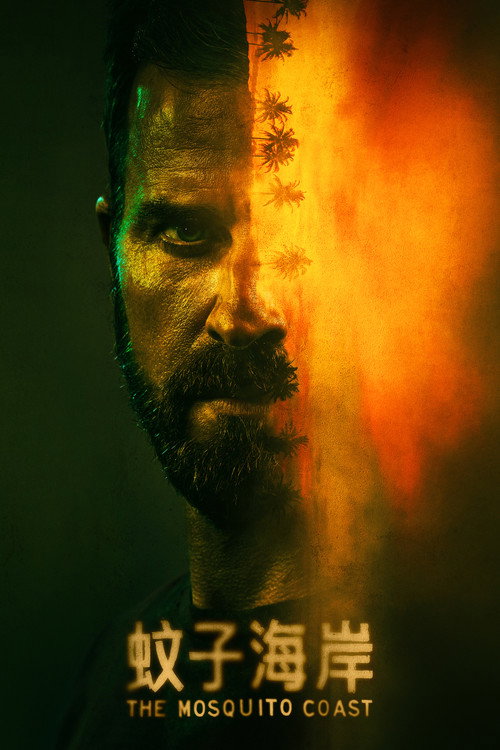 蚊子海岸电影海报