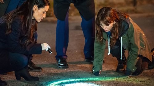 Elementary - End Of Watch