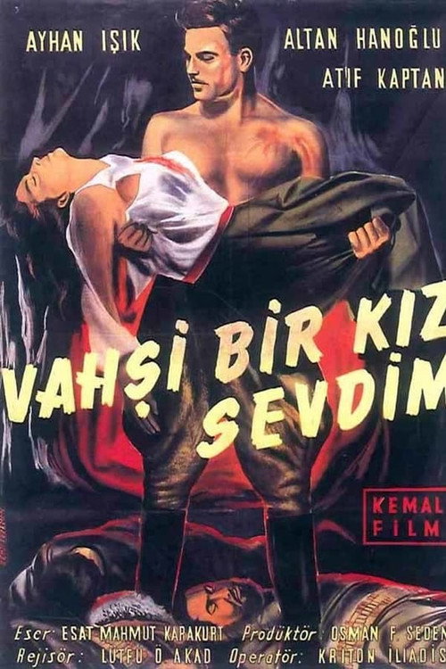 Vahşi Bir Kız Sevdim poster 2