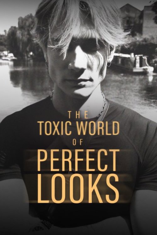 The Toxic World Of Perfect Looks Poster