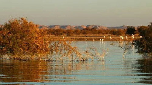 Lake Nasser