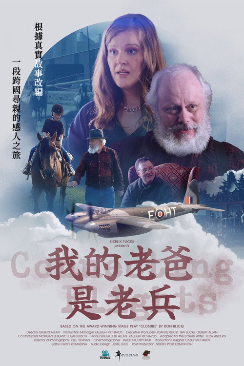 我的老爸是老兵电影海报