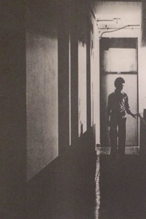 The First Chapter 1981 The First Chapter 1981