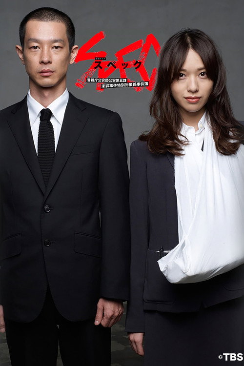 警视厅公安部公安第五课 未详事件特别对策系事件簿电影海报