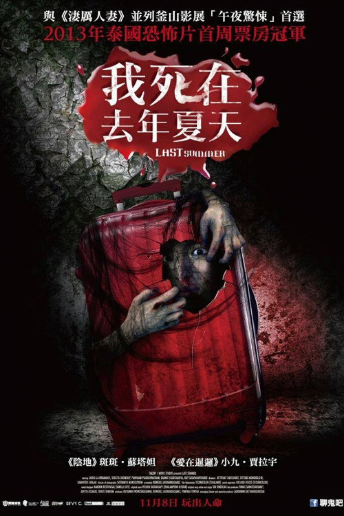 死在那年夏天电影海报