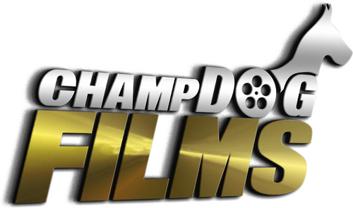 Production Company Logo