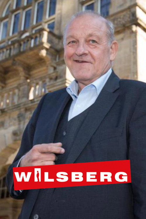 WilsbergSeason 1 Episode 68 1995