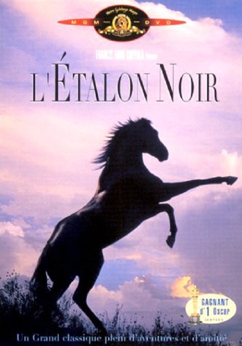 L'étalon noir 1979 L'étalon noir 1979