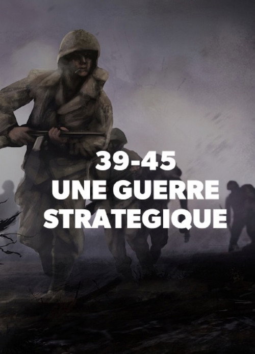 39-45 : Une Guerre Stratégique电影海报