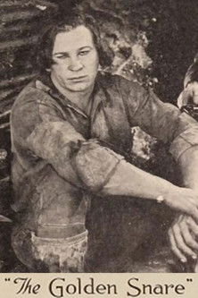 The Golden Snare